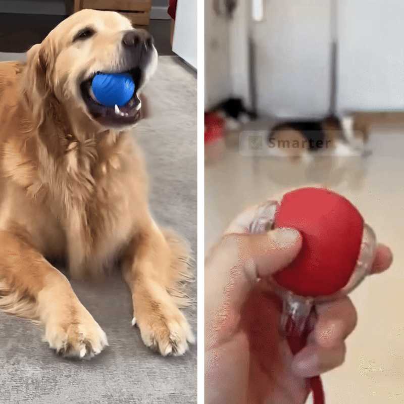 Upgrade To The Smarter, Quieter and Senior-Safe Turbo Version