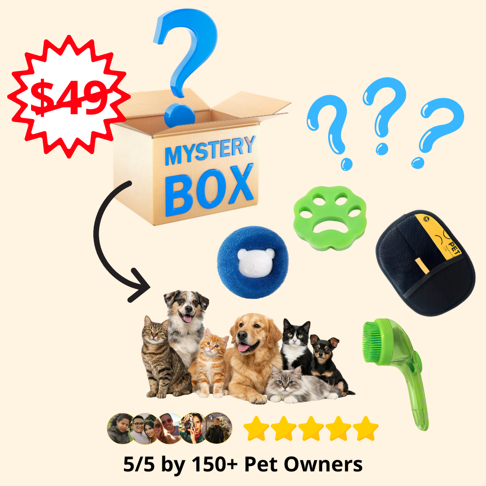 Furble™ Mystery Box