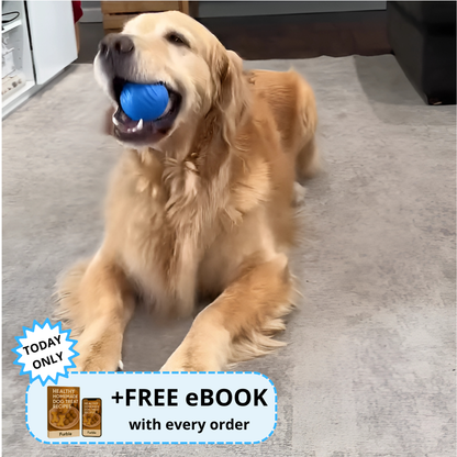 Furble™ Ball | FREE Today
