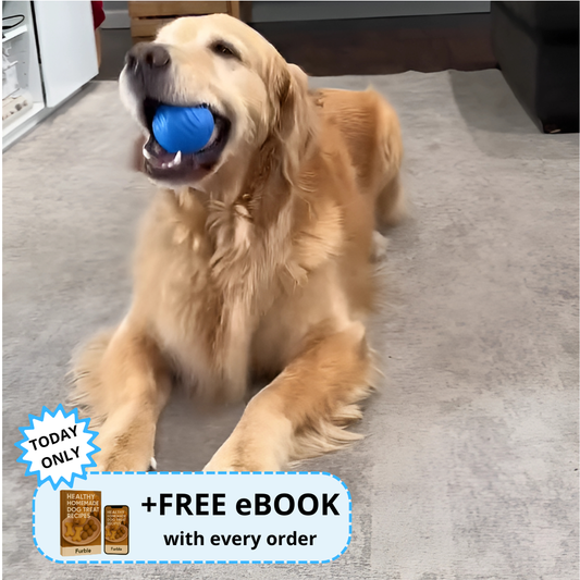Furble™ Ball | FREE Today