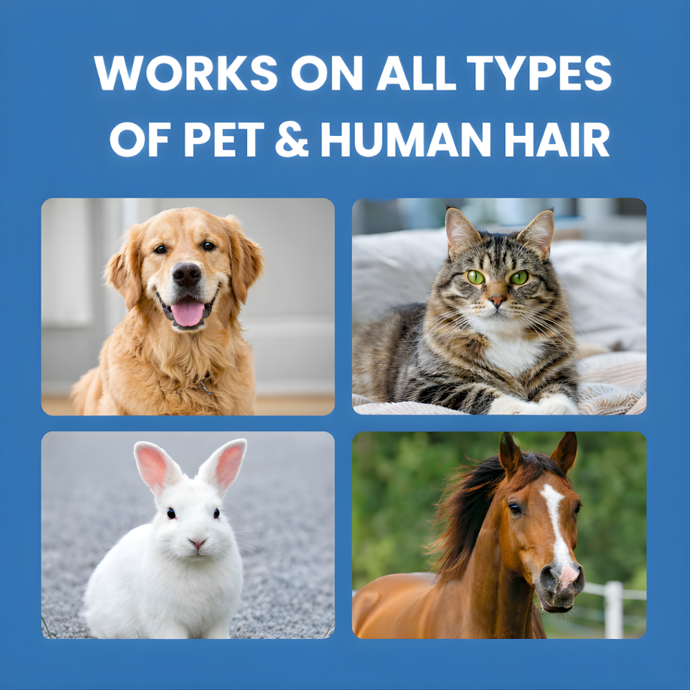 Furble™ Pet Hair Dissolving Powder | FREE Today