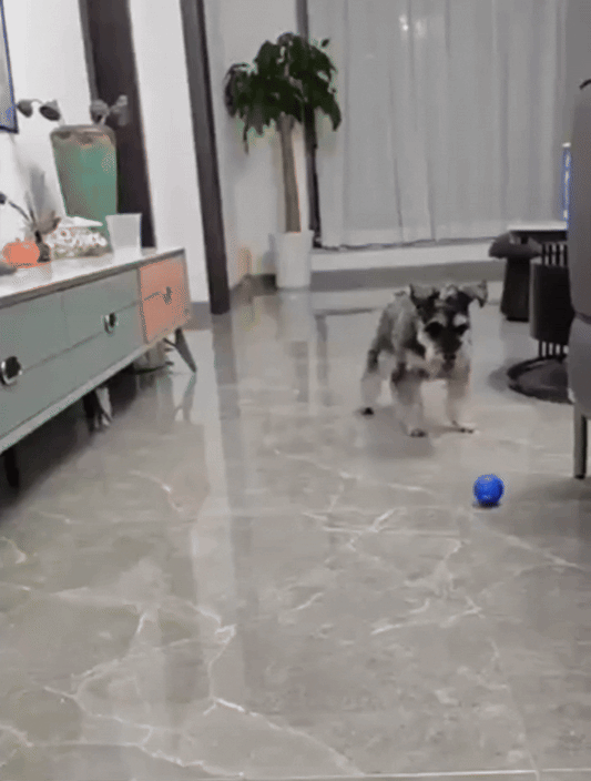 Furble™ Ball | FREE Today