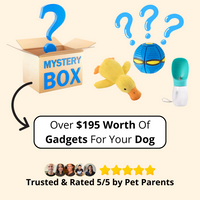 Furble™ Premium Mystery Box [One Time Offer]