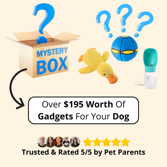 Furble™ Premium Mystery Box [One Time Offer]