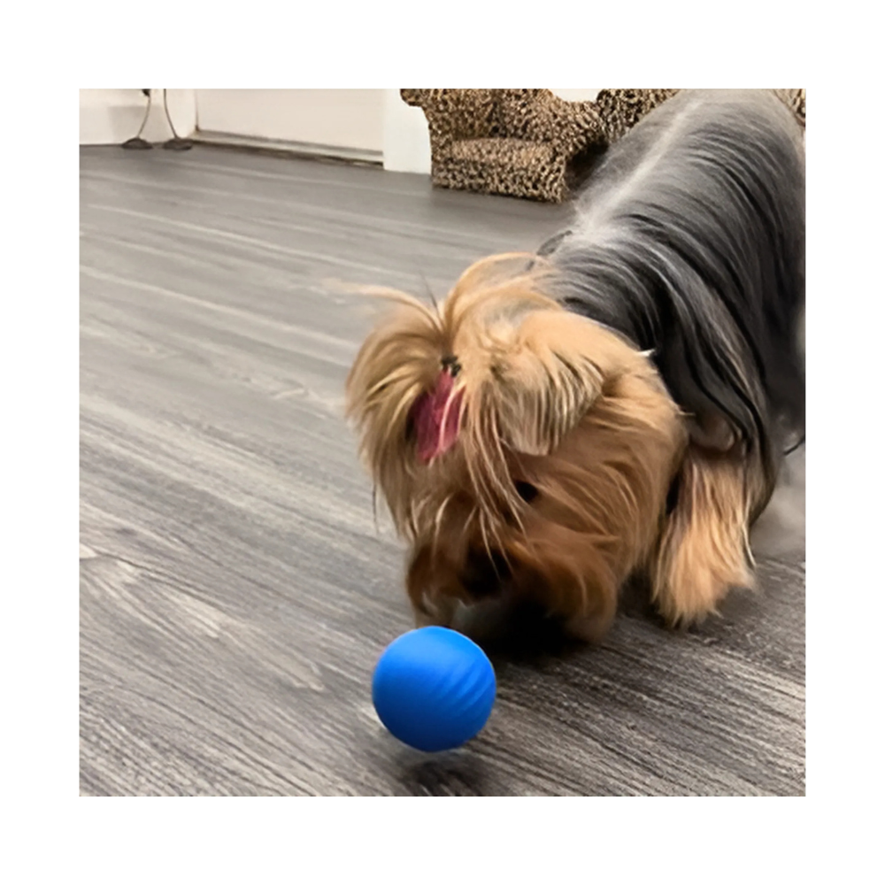 Furble™ Ball | FREE Today