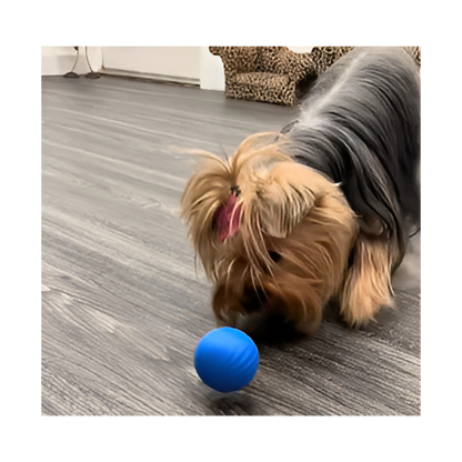 Furble™ Ball | FREE Today