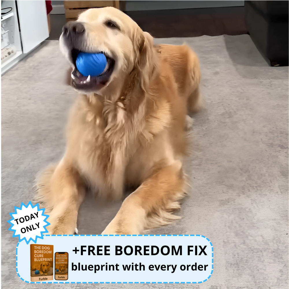 Furble™ Ball | FREE Today