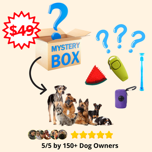 Furble™ Mystery Box